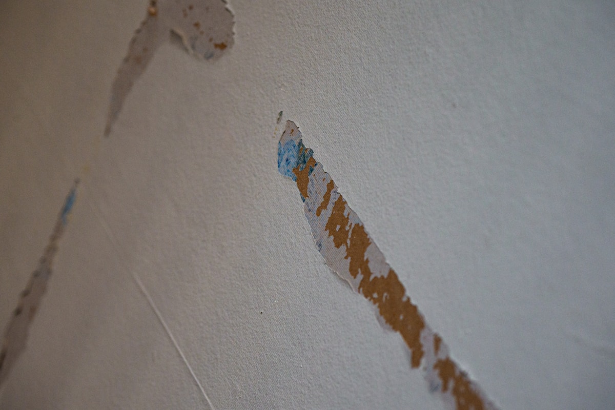 Water Extraction service in Williamsburg, VA